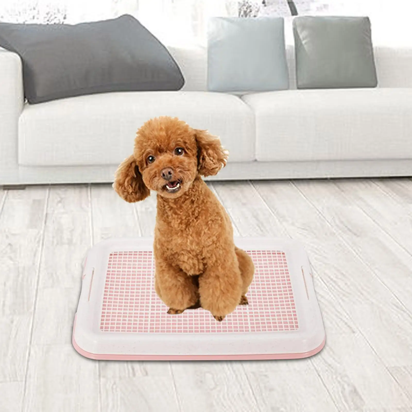 Dog Potty Training Tray for Small Size Dogs