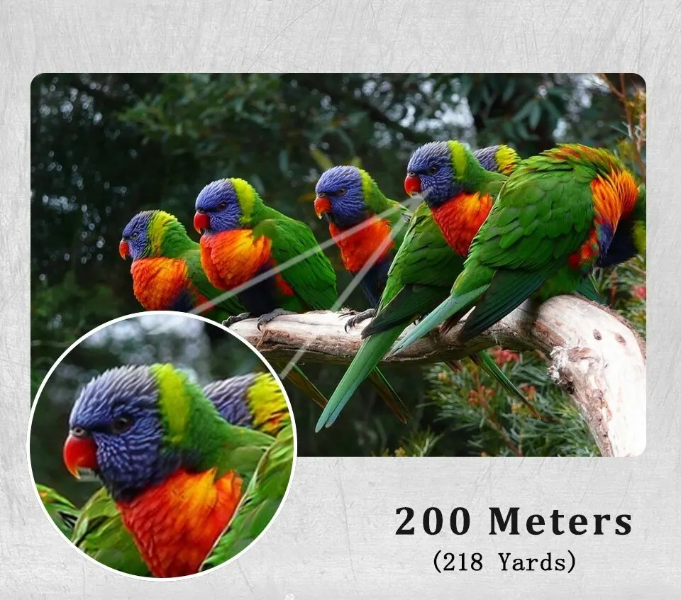 Teleskop z zoomem 10-300x40 HD Przenośna, mocna lornetka Profesjonalny monokular dalekiego zasięgu Niski noktowizor do polowań 19 S6e6b58a3190b48b3ae73e78d328e604fK Teleskop z zoomem 10-300x40 HD Przenośna, mocna lornetka Profesjonalny monokular dalekiego zasięgu Niski noktowizor do polowań