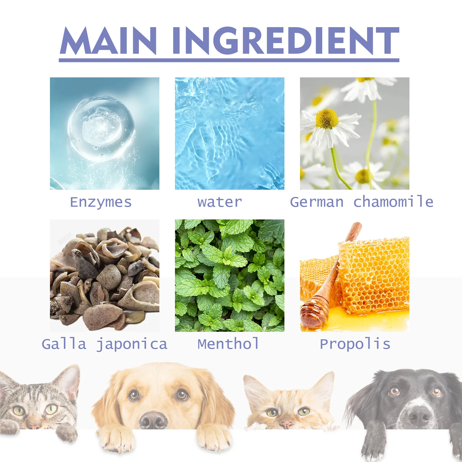 30ml Tooth Cleaning Spray For Cats And Dogs Fight Gum Disease-Remove Stains-Freshen Breath Cats And Dogs Pet Oral Care Spray