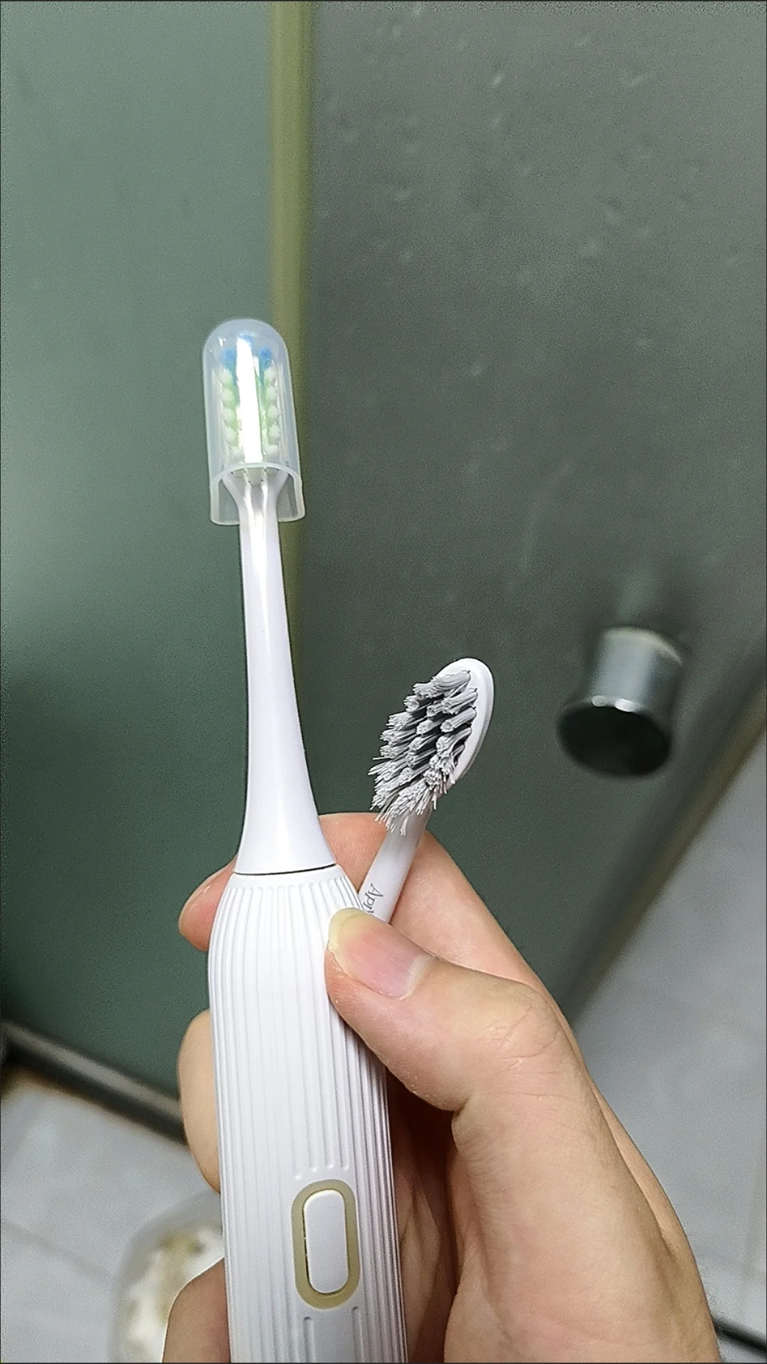 Revyline RL060 전동 칫솔 DuPont 진공 액세서리 노즐 강모 용 4/8pcs 교체 칫솔 헤드