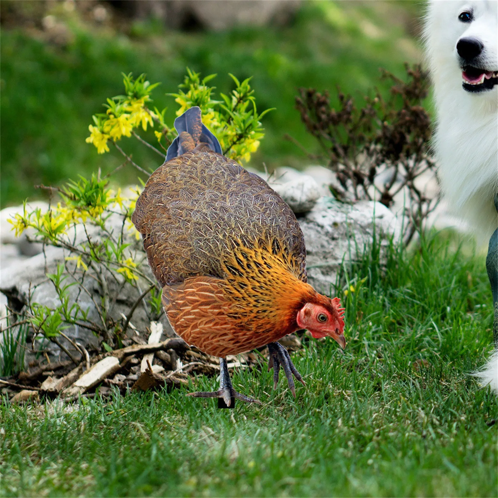 2PCS Chicken Ornaments Yard Art Decor Backyard Acrylic Rooster Animals Stakes Animals Sculptures Garden Decoration garden art decor animal sculpture decorations