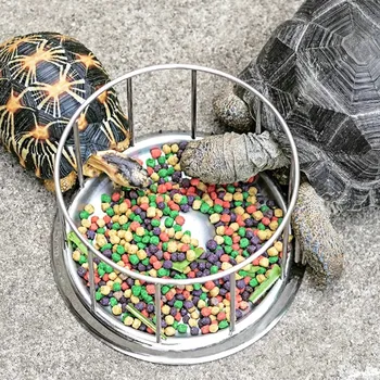 Stainless Steel Tortoise Turtle Feeder 1