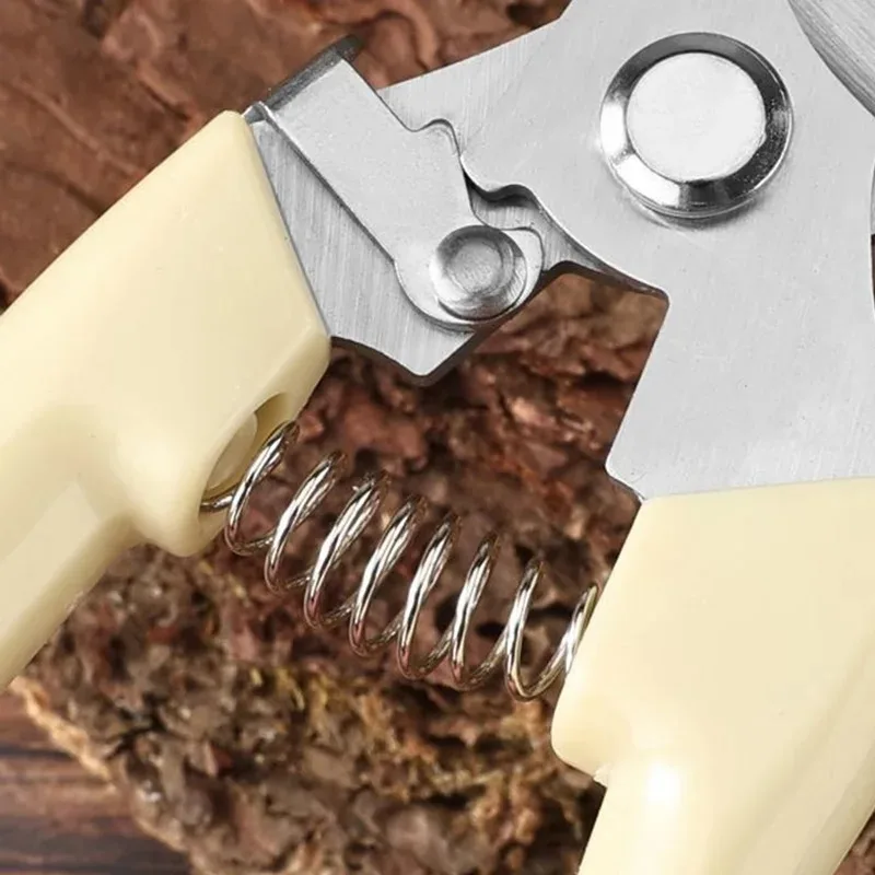 Pruning Shears for Garden - Image 3