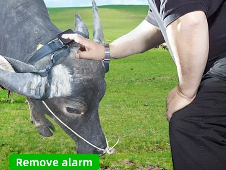 RF-V44 Solar GPS Tracker 4G/3G/2G Real-time GPS Tracker Anti-remove SOS Alarm 9000mAh Battery for Sheep Cow Cattle Waterproof