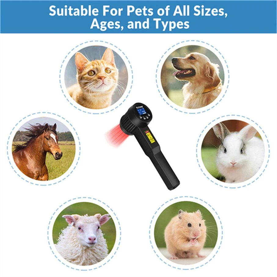 Рисунок 4 - Медицинский терапевтический лазер