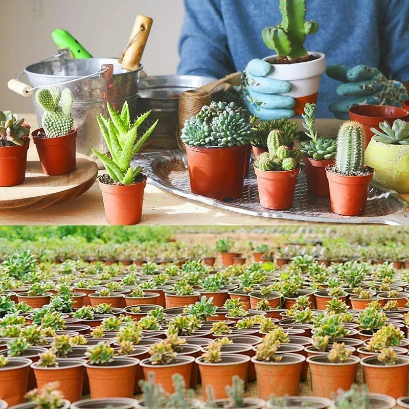 Pot de pépinière flexible en plastique pour plantes succulentes