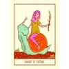 9*6.5cm Squid Cake Tarot 78 Card Deck with Knights Riding Creatures, Quirky Faces and A Delicious Colour Palette 1