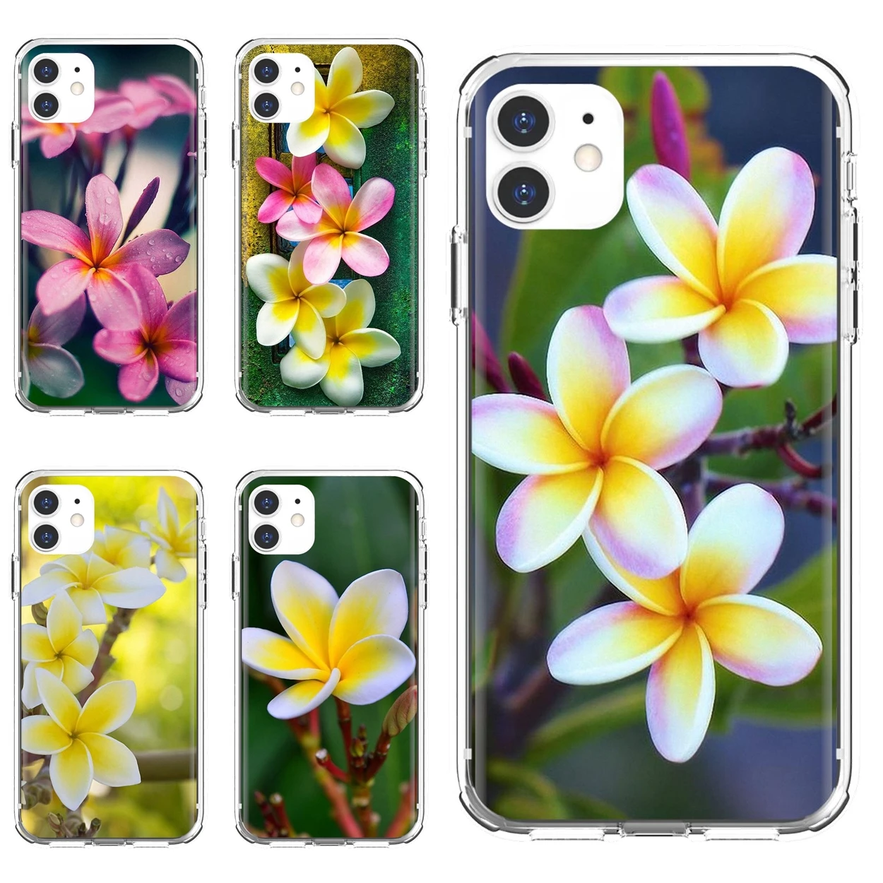 cute iphone 11 cases עבור iPhone 10 11 12 13 מיני פרו 4S 5S SE 5C 6 6S 7 8 X XR XS בתוספת מקסימום 2020 קבוצה של יפה פראנגיפאני פרחים רך תיק מקרה iphone xr wallet case