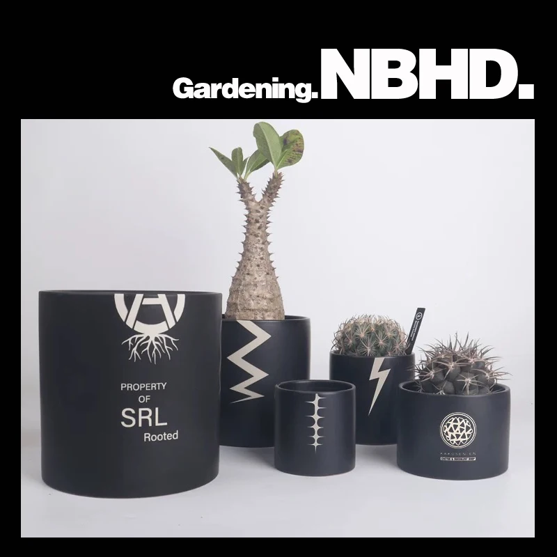 

NBHD vertical trend root plant flower pot cactus pocket elephant foot sumac Ebisu laugh big black ivory palace planter bowl