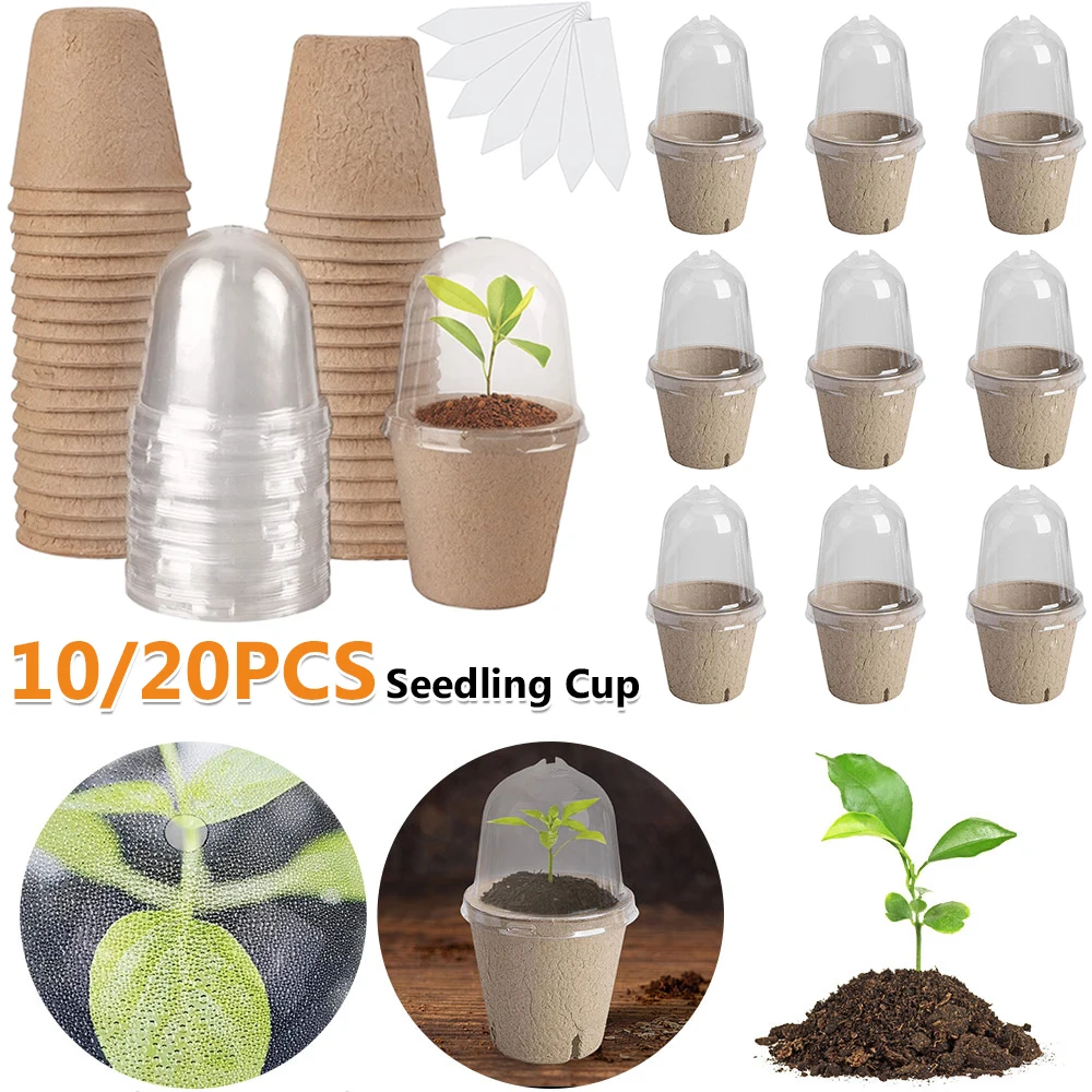 10/20PCS Seedling Cup Germination Planter Transparent Lid Greenhouse Breeding Box Biodegradable Versatile Gardening Supplies