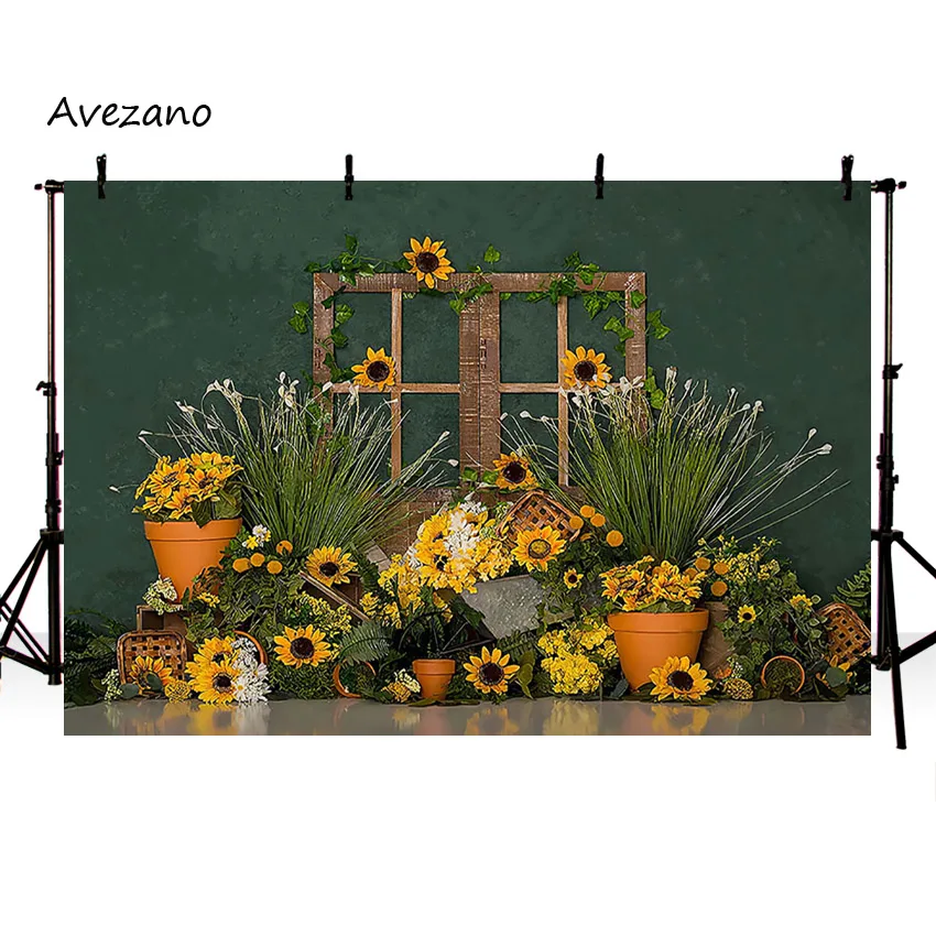 Avezano-  ¾        ʻȭ , Ʃ 