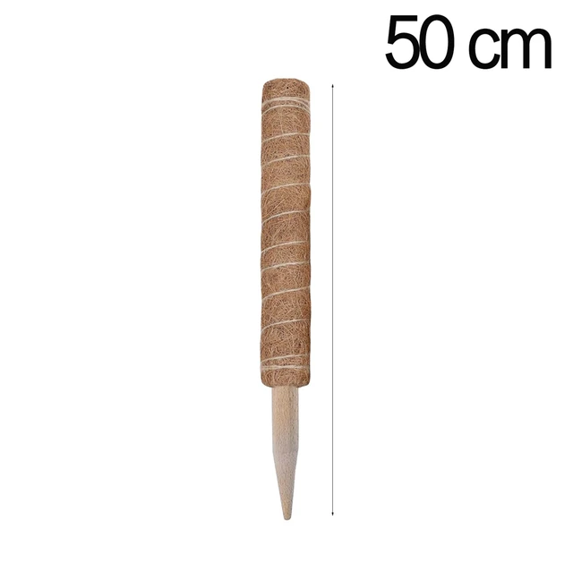 50cm