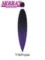 1B-Purple