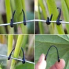 200-800 Pcs Garden Plants Vines Fixed Clips Tied Buckles Lashing Hook Kiwi Grape Cucumber Tomato Stems Fastener Gadgets Grafting 3