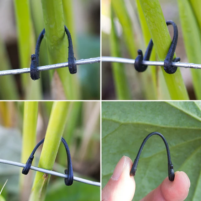 200-800 Pcs Garden Plants Vines Fixed Clips Tied Buckles Lashing Hook Kiwi Grape Cucumber Tomato Stems Fastener Gadgets Grafting 3