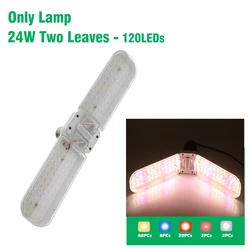 Foldable Full Spectrum LED Grow Light Bulb for Indoor Plants and Seedlings (Only Lamp 24W)