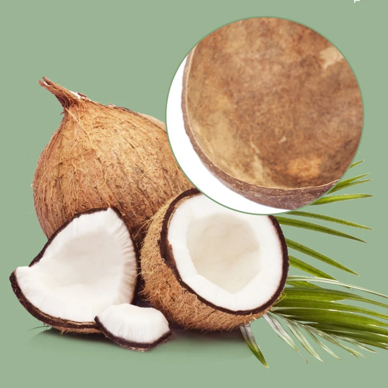 Coconut Reptile Hiding Cave 4