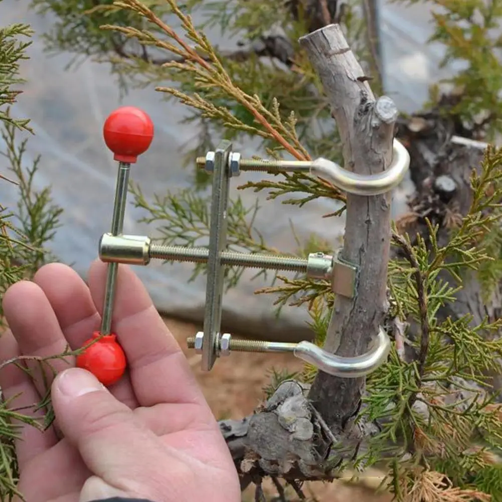 Bonsai Branch Trunk Bender Gardening Pruning Device Pruner Steel Adjuster Stainless Tool DIY Bonsai Profession Garden U1Q8 3