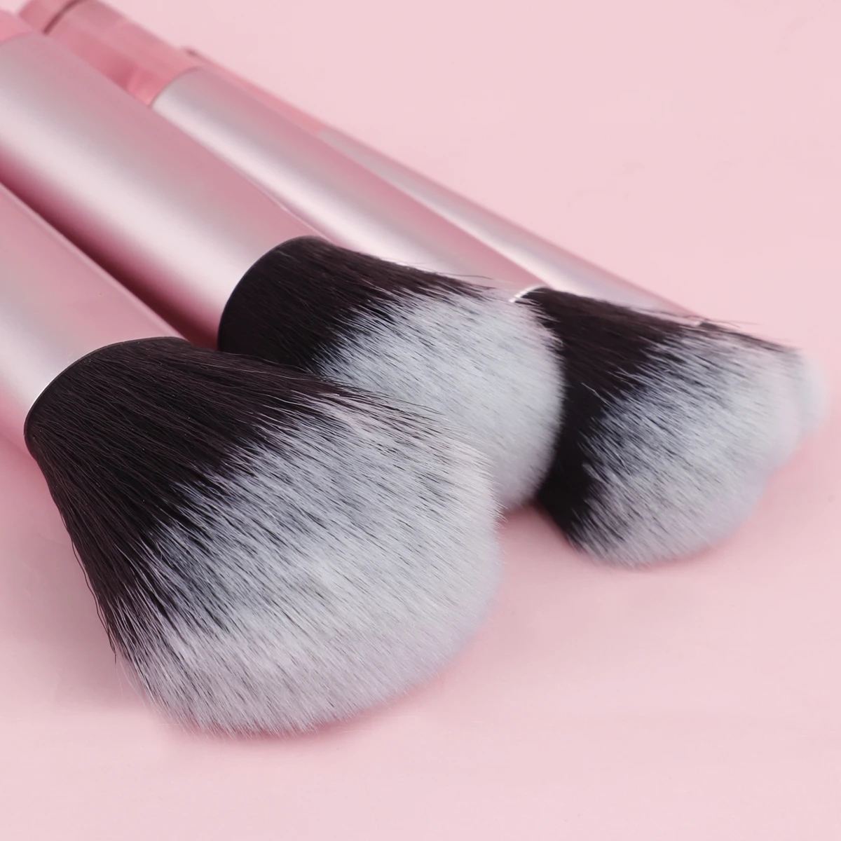 Compact 10-Piece Makeup Brush Set for Face and Eyes - Powder, Foundation, Blush, Concealer Blender Tools