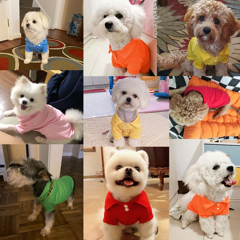 Pet Dog Shirt Spring Dog Shirts 6 Candy Colors Vest Pet Polo Collar Breathable Solid Shirts Chihuahua Yorkshire Dog and Cat Casual