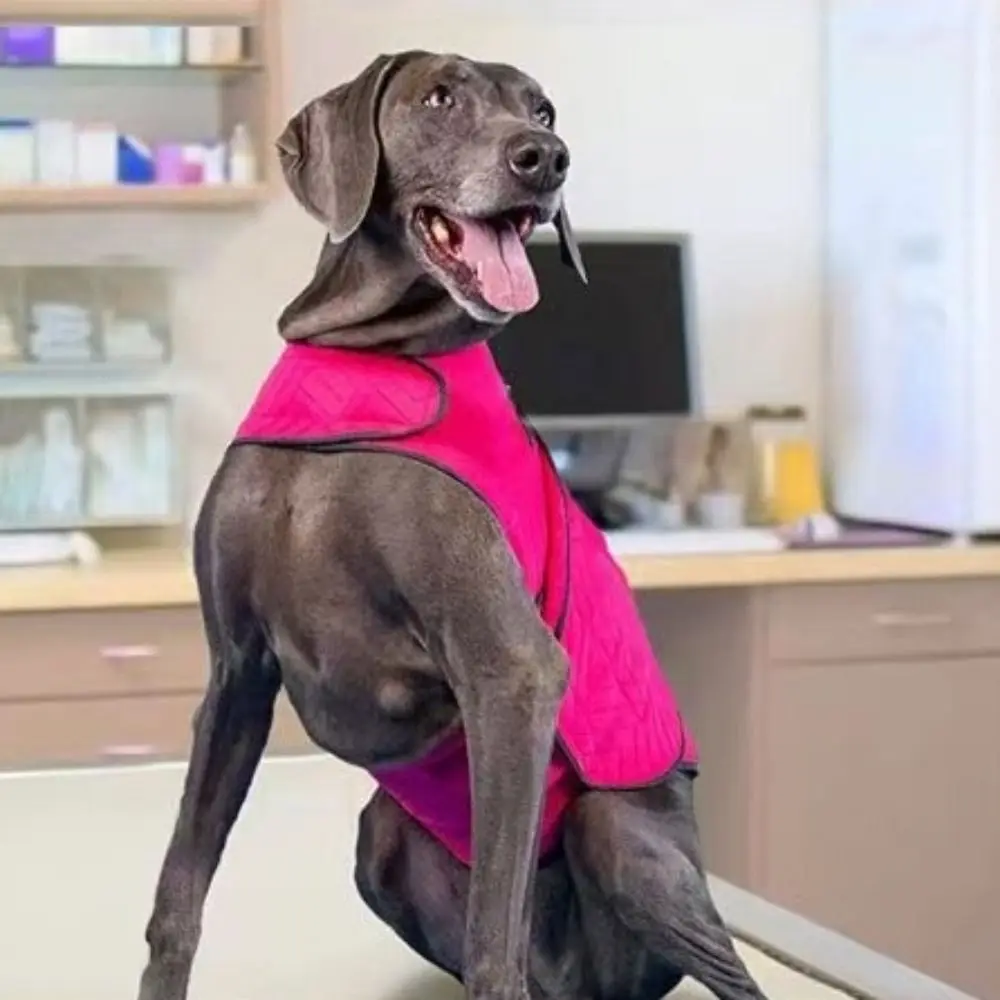 Dog Coat Elastic Dog Anxiety Jacket Reflective Breathable Dog Calming Shirt Keep Pet Calm Soft Dog Thunder Vest Thunder