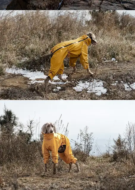 Large Dog Full Body Winter Jacket Leg Waterproof Windproof