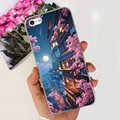 Case-c67