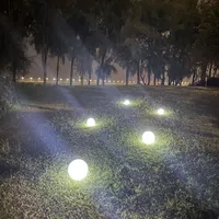 LED Outdoor Garden Lamp, 16 RGB Colors Globe Light with Remote,Decor for Nursery Patio Garden Yard Beach Pathway 1