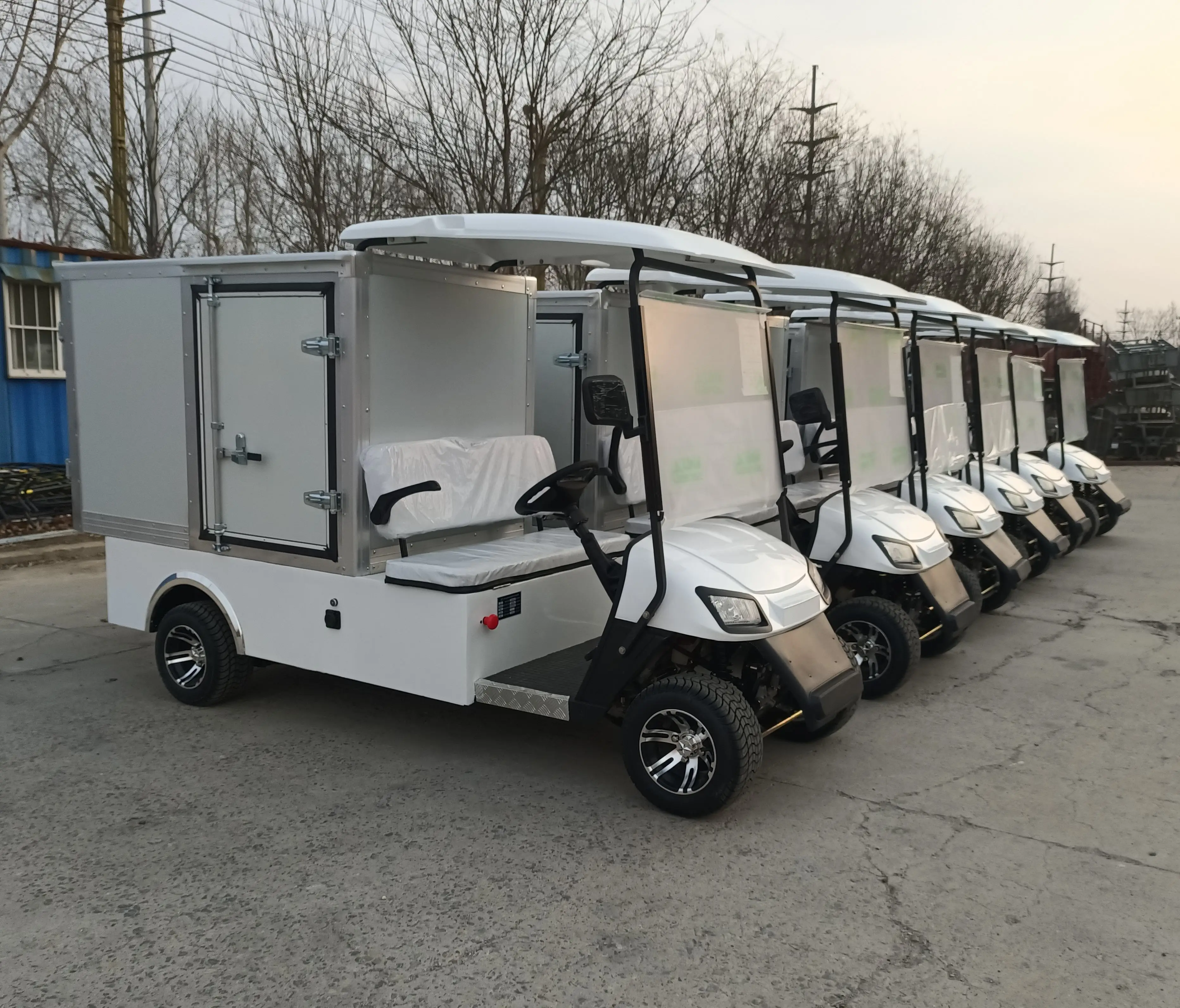 Trustworthy Supplier High-End Quality 6 Seats Golf Buggy Electric Vehicle Electric Hunting Golf Cart With Cargo