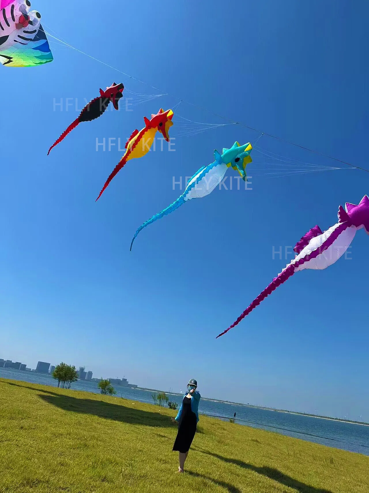 Soft Inflatable 5m Seahorse Kite Line Laundry for Adults High Quality Ripstop Nylon Sea Horse Show Kite Pendant