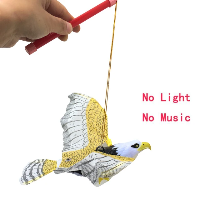 No light sound-200005536