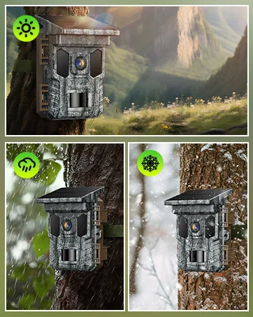 trail camera