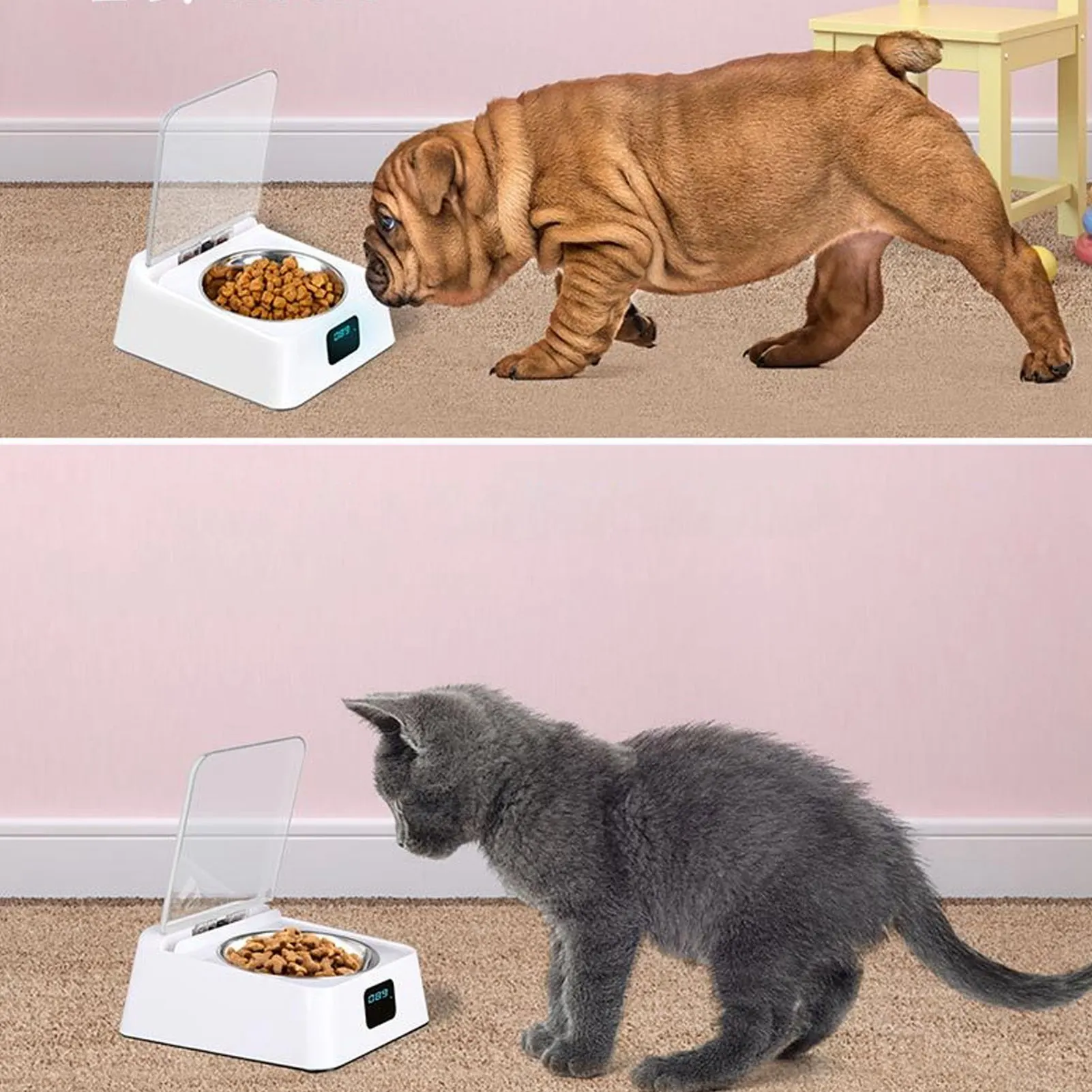 

Automatic Cat Feeder With Infrared Sensor Cover Removable Bowl Battery Powered Intelligent Automatic Opening Lid Dog Feeder