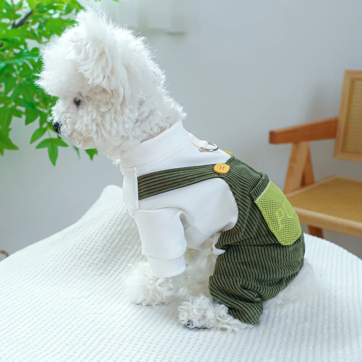 

Corduroy Boxer Shorts for Dog and Cat, Cute Baby Bib Pants, Pet Puppy Clothing, Winter Clothes
