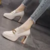 Spring Fashion High Heels Autumn New Women Chunky Platform Pumps British Style Woman Slip on Square Toe Office Lady Work Shoes 1