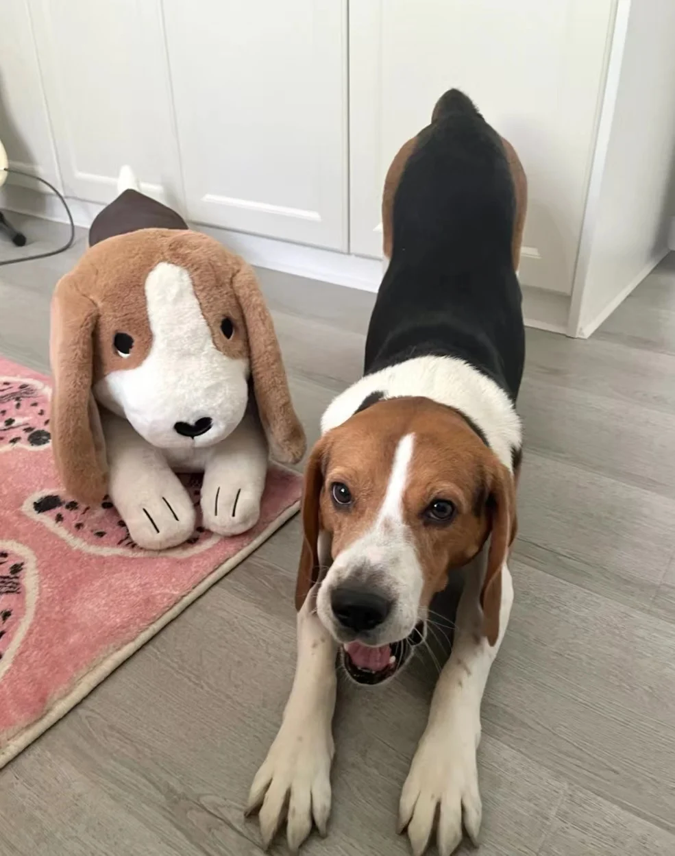 Große Größe Beagle Hund Plüsch Spielzeug Realistisch Ausgestopften Tiere  Welpen Lange Kissen Geburtstag Geschenk Für Kinder Mädchen Hause Pet Store  decor| | - AliExpress