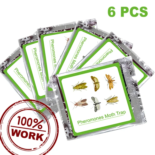 6 pcs