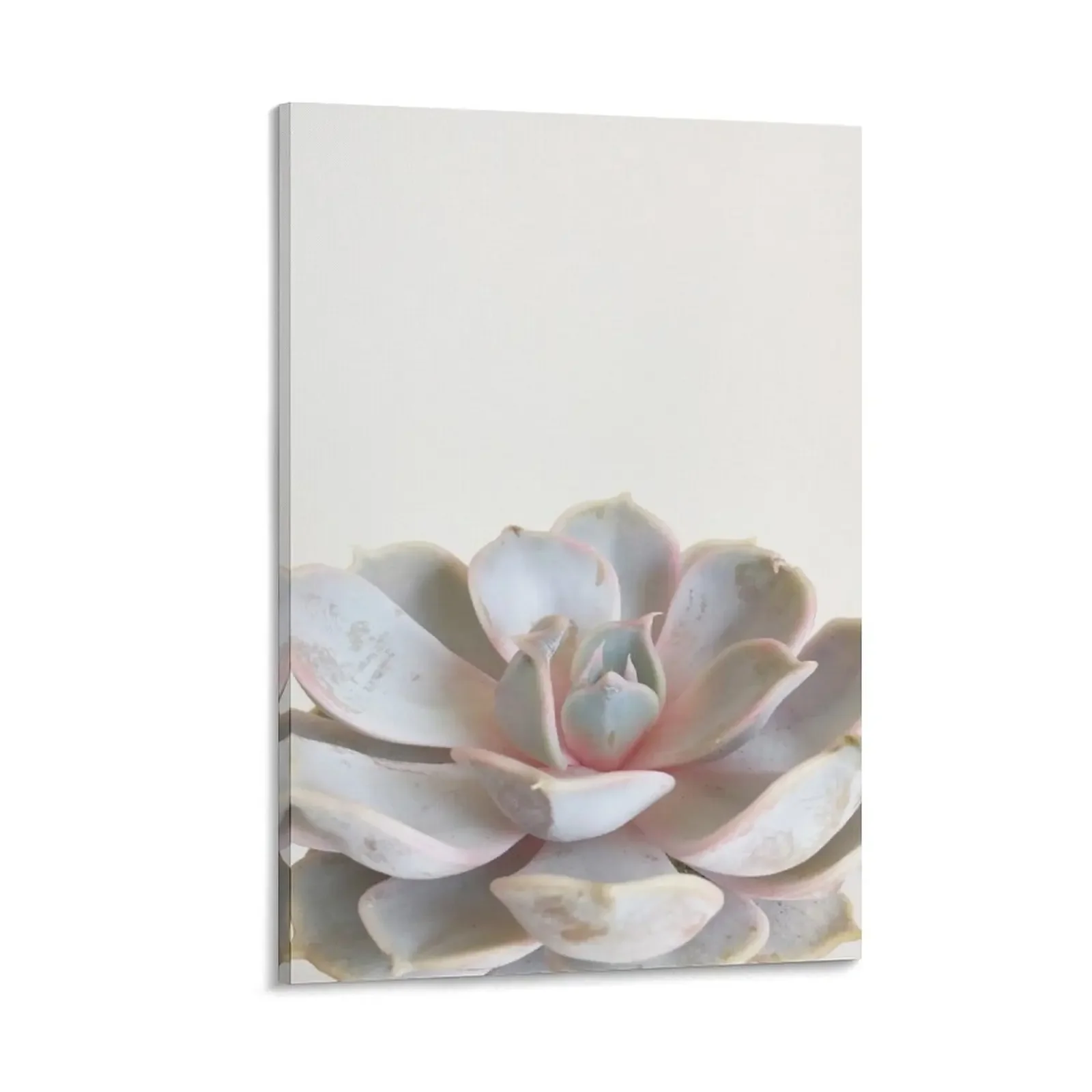 

Pink Succulent Canvas Painting decorative items for home aesthetic room posters for room room decorations for men