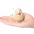 Four-Toed Hedgehog B