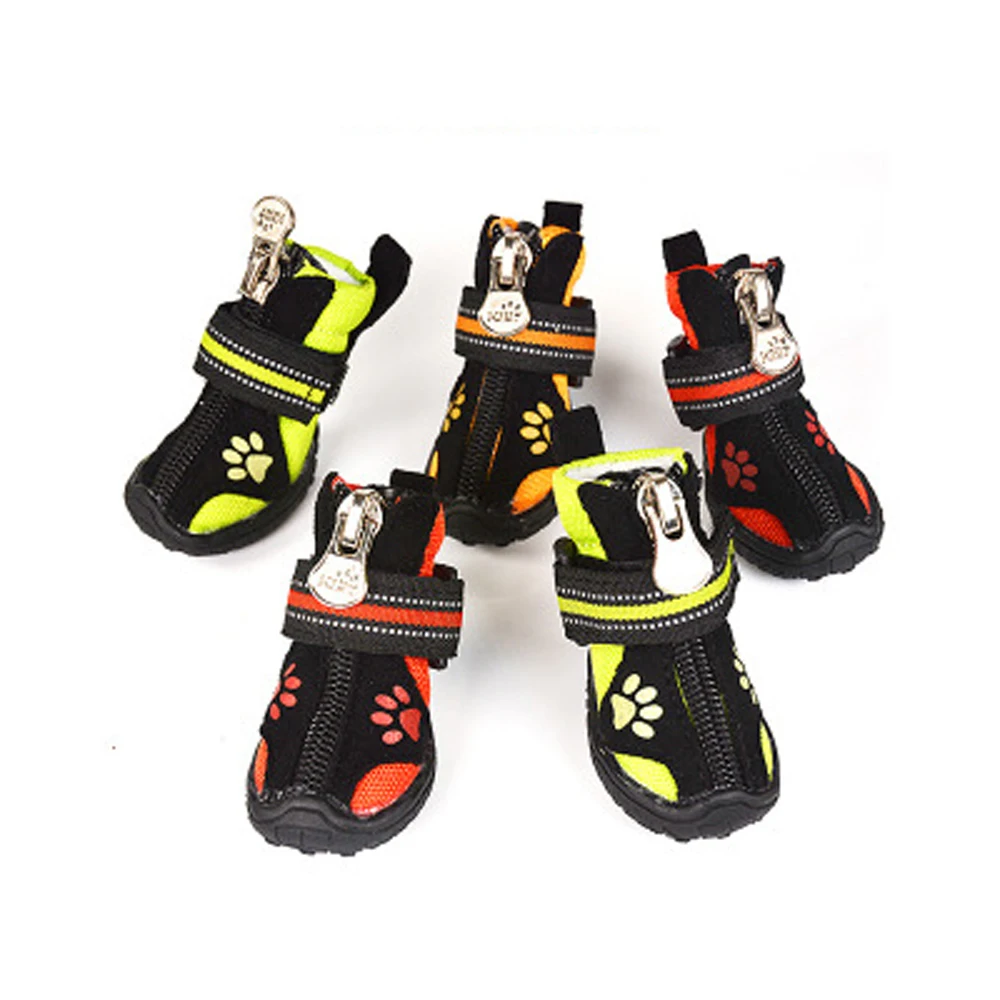 What Size Shoe Does My Dog Wear