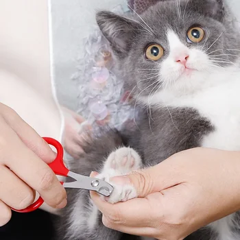 고양이 손톱 가위, 반려견 발톱 트리머, 전문 애완 동물 미용 제품, 작은 강아지 고양이