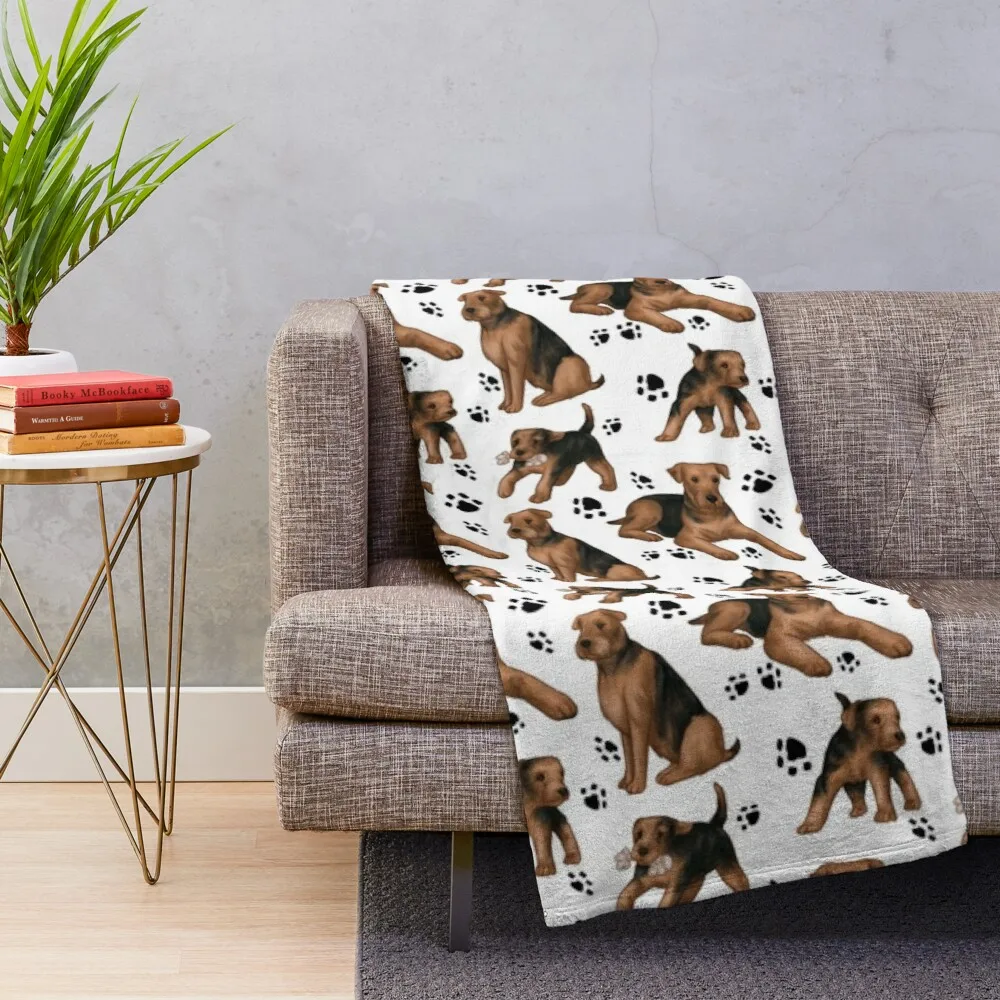 ����� ���� ������ ���� ���, ������