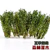 1/35 Model Bush Military Scene Railway Train Layout Building Landscape Materials for DIY Model Making Diorama Decoration 3