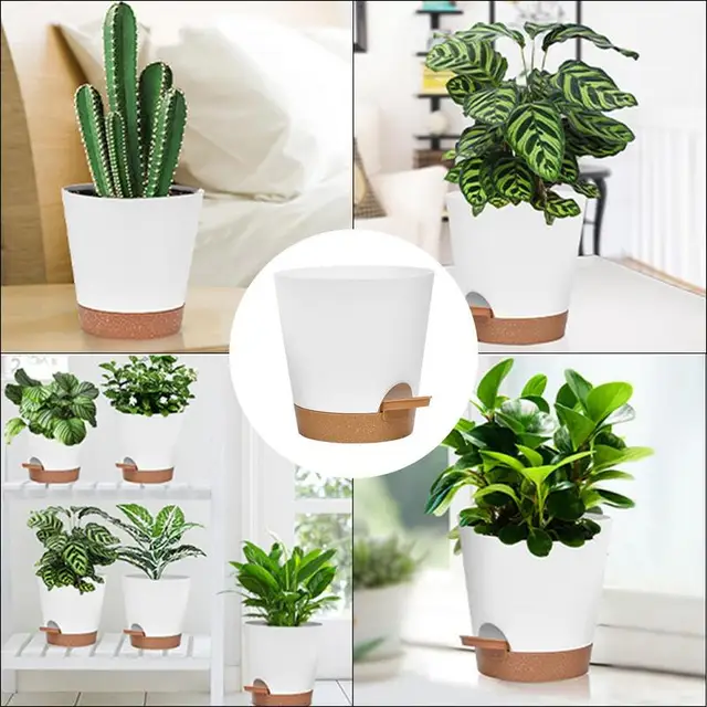 Öntözésű Növényi Edény 5Db Ön Öntözők Edények Beltéri Növényekhez 6 Hüvelykes Kerek Ültetvényes Az Otthoni Iroda Kertjéhez - Image 5