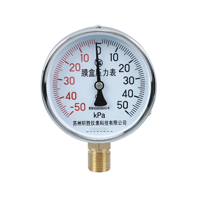 

Diaphragm pressure gauge YE100 positive and negative ±50kPa positive and negative pressure type diaphragm pressure gauge