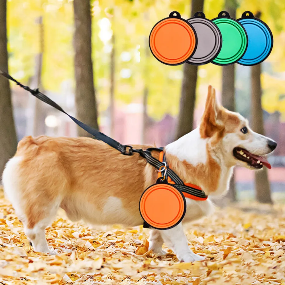 Foldable Multifunctional Pet Bowl 3