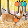 Multifunctional Colorful Dog Feeders Foldable Bowls for Pets Dogs Retractable Bowl Cats Frisbees for Outdoor Tools 3