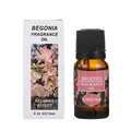 Begonia
