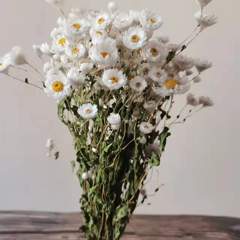 Natural Dried Flowers Bouquets And Real Flower Arrangements For Shooting  Props