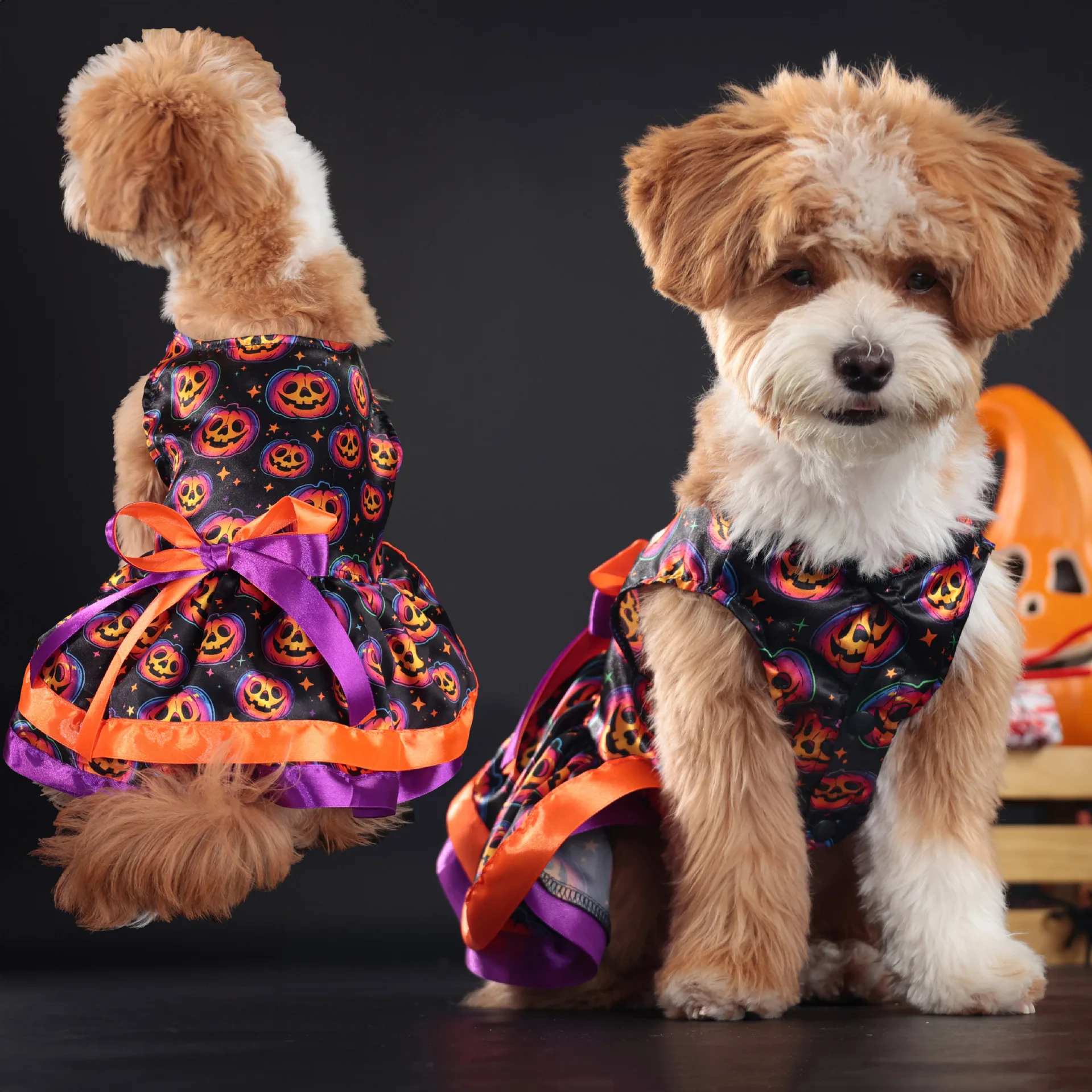 Robe Colorée Citrouille pour Chiens - 2025 - Doglovedesign : Vêtement et accessoires pour chiens
